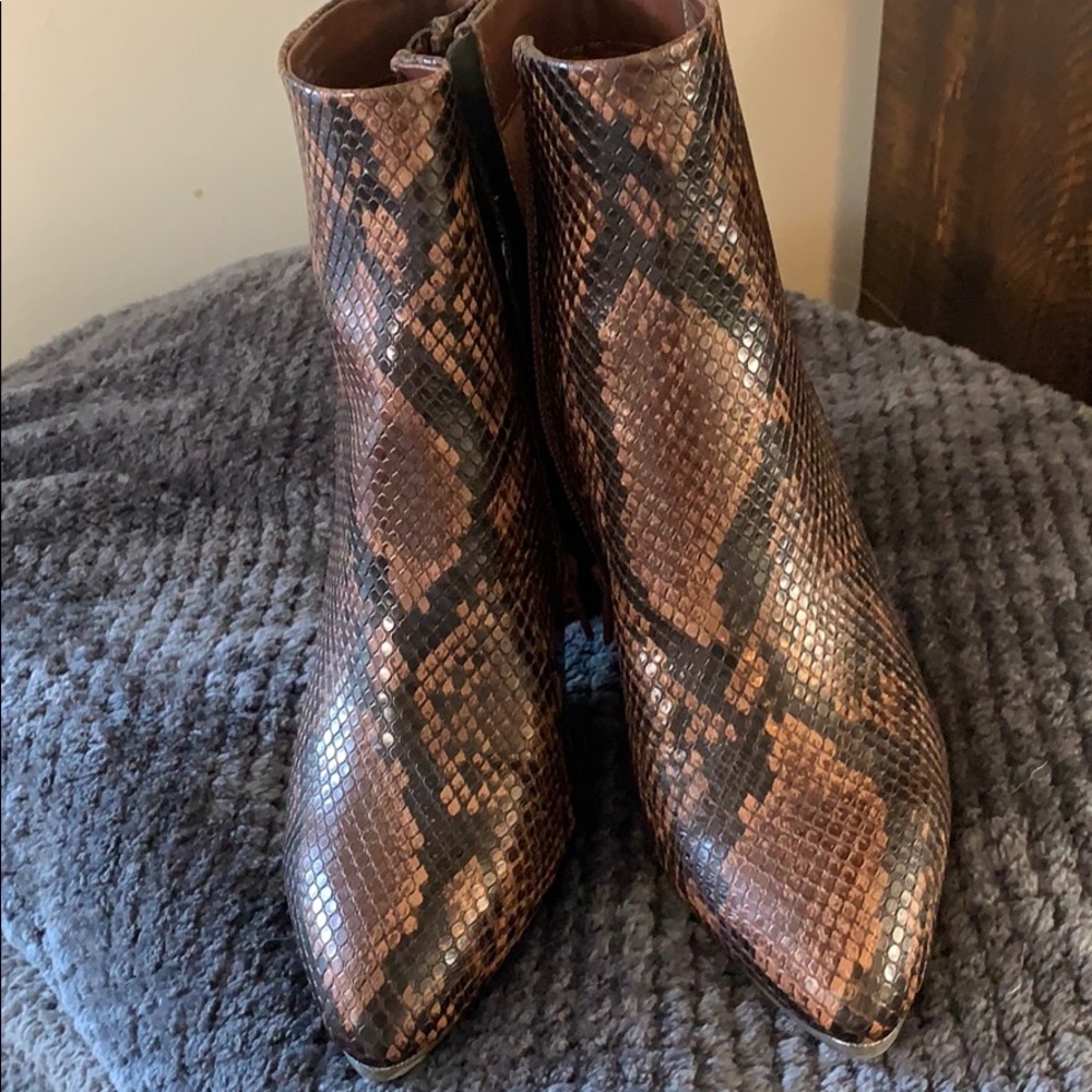 Steve Madden Snakeskin Booties (NEVER WORN!!!)